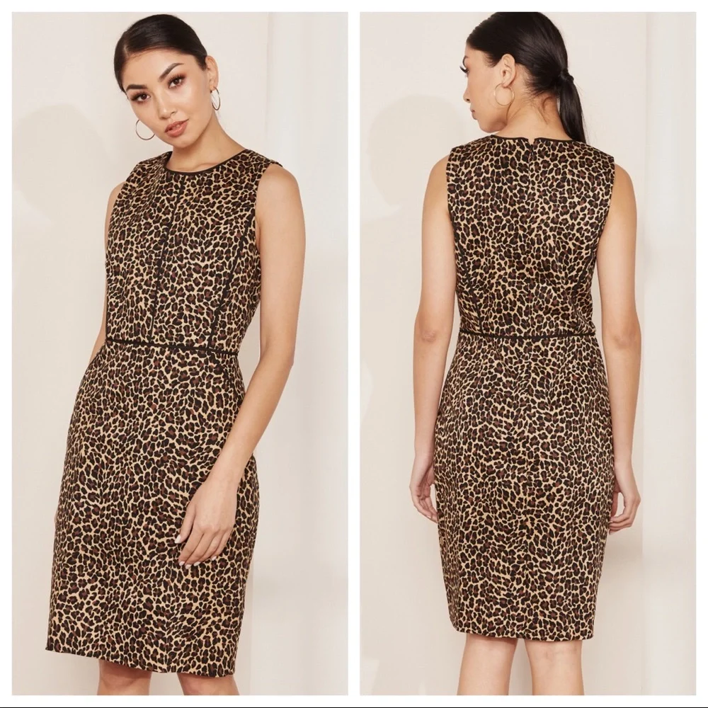 J Crew Womens Leopard Print Sleeveless Sheath Dress Bi Stretch Cotton size 8